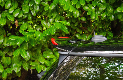 Mini F56 Spoiler extensions
